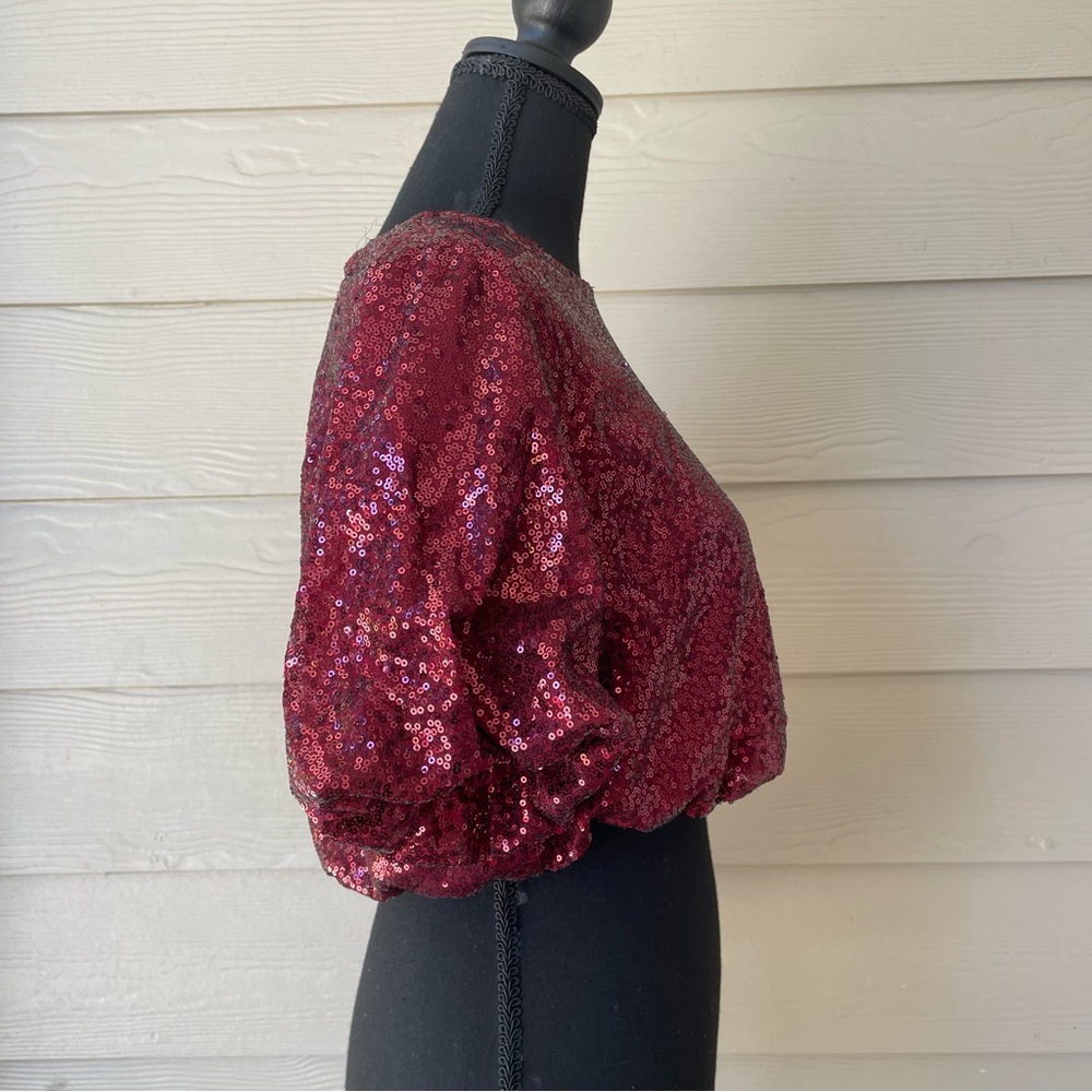 Day + Moon Cranberry Sequin Top
Size S - Picture 4 of 7